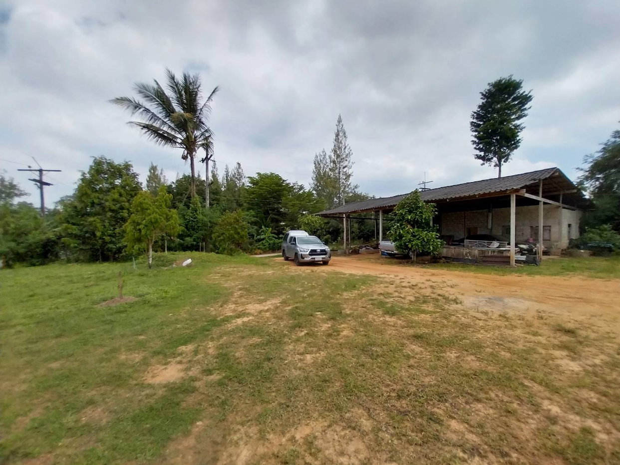 picture LAND 2454.6 Sq.w. Khiri Ratthanikhom Surat Thani for 1.8M - 4/9