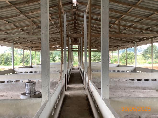 picture LAND 3649 Sq.w. Chalermphrakiet Nakhon Sri Thammarat for 9.9M - 10/38