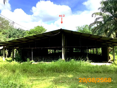 Land for sale Phangnga : LAND 2165 Sq.w. Kapong Phangnga for 4M