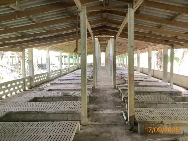 รูป ฟาร์ม 2259.1 ตร.วา เฉลิมพระเกียรติ นครศรีธรรมราช 5.6M - รูปที่ 15/36