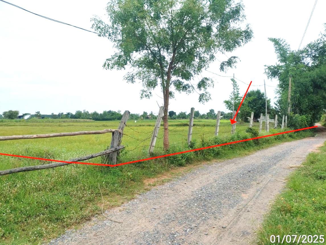 รูป บ้านเดี่ยว 2800 ตร.วา โกสุมพิสัย มหาสารคาม 2.6M - รูปที่ 20/24
