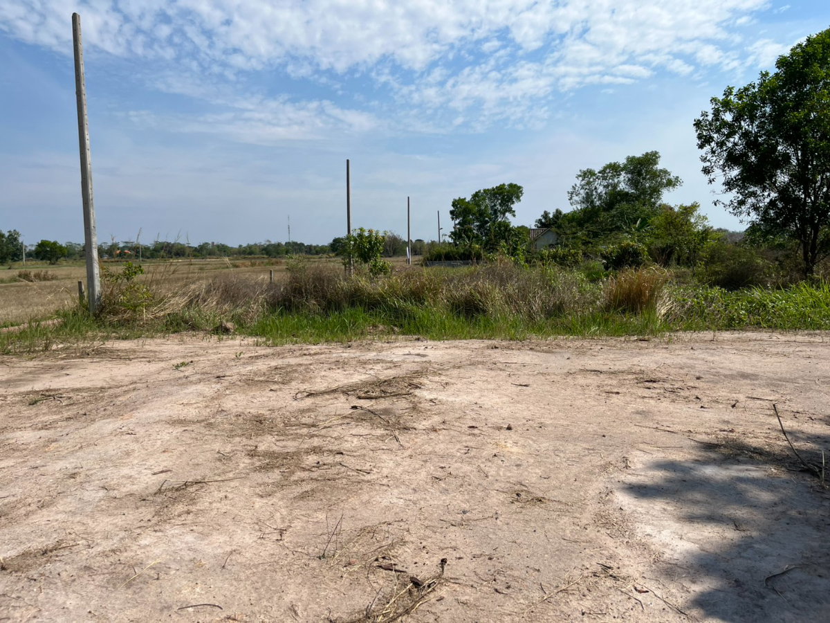 รูป ขายที่ดิน 100 ตารางวา ต.เขาพระ ถมเต็มพื้นที่ มีโฉนด ติดถนนคอนกรีต วิวเขาชัด  - รูปที่ 17/19