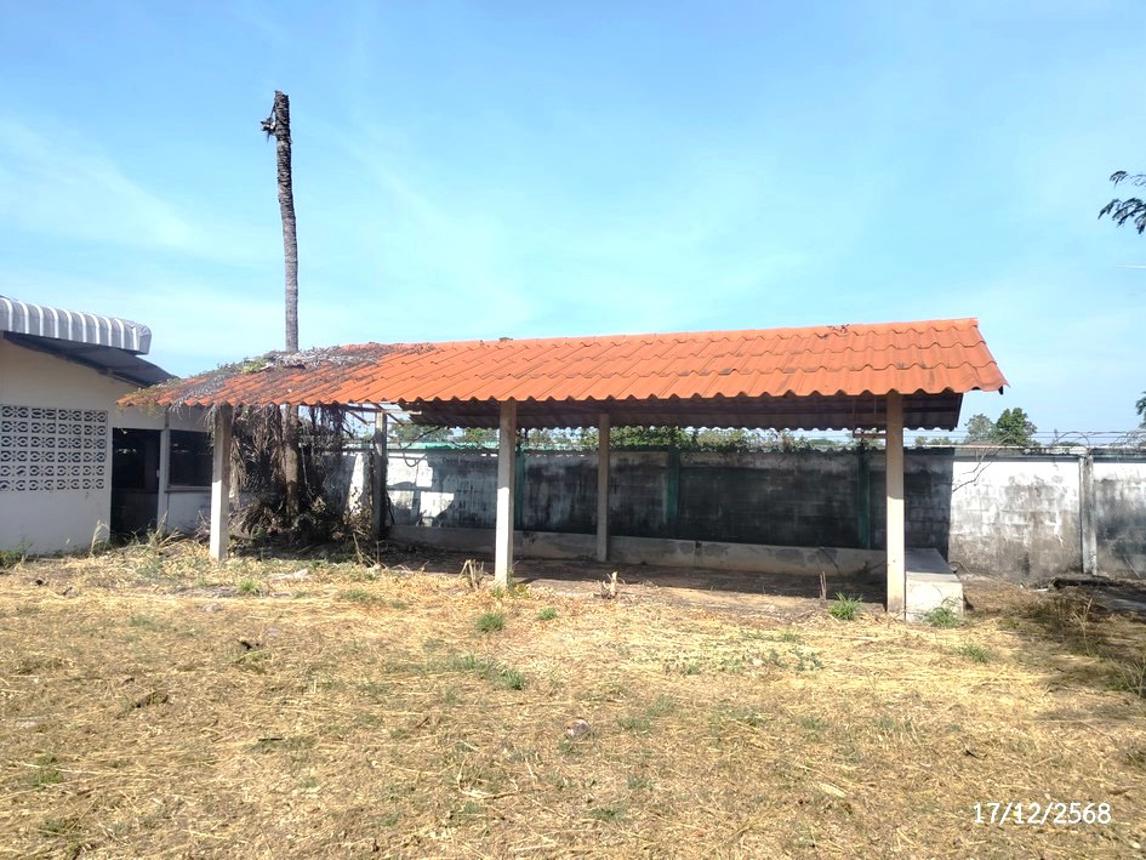 รูป บ้านเดี่ยว 2388 ตร.วา สว่างแดนดิน สกลนคร 13.5M - รูปที่ 34/44