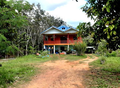 LAND 241.6 Sq.w. Sadao Songkhla for 1.3M
