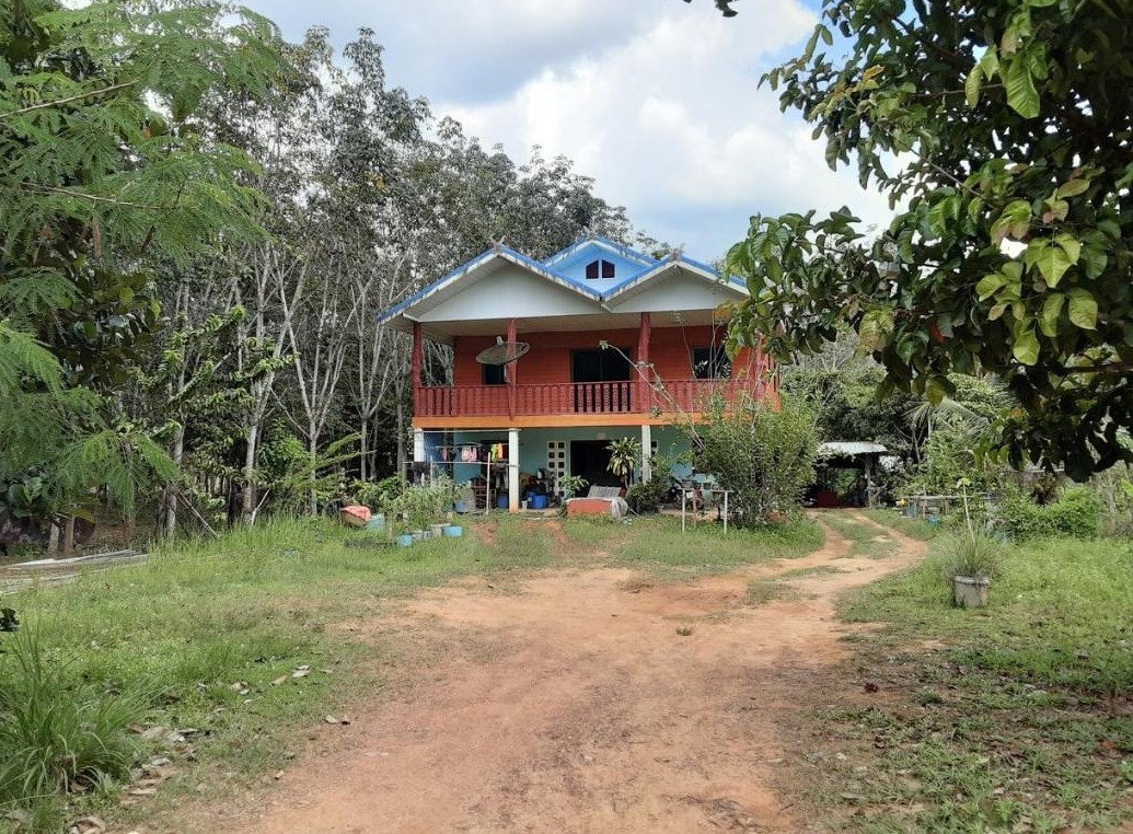 picture LAND 241.6 Sq.w. Sadao Songkhla for 1.3M - 1/4