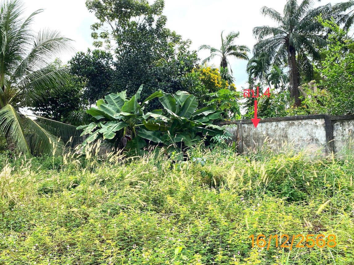 รูป บ้านเดี่ยว 1565.3 ตร.วา คลองท่อม กระบี่ 10.6M - รูปที่ 35/44