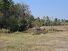 listing thumbnail image 44