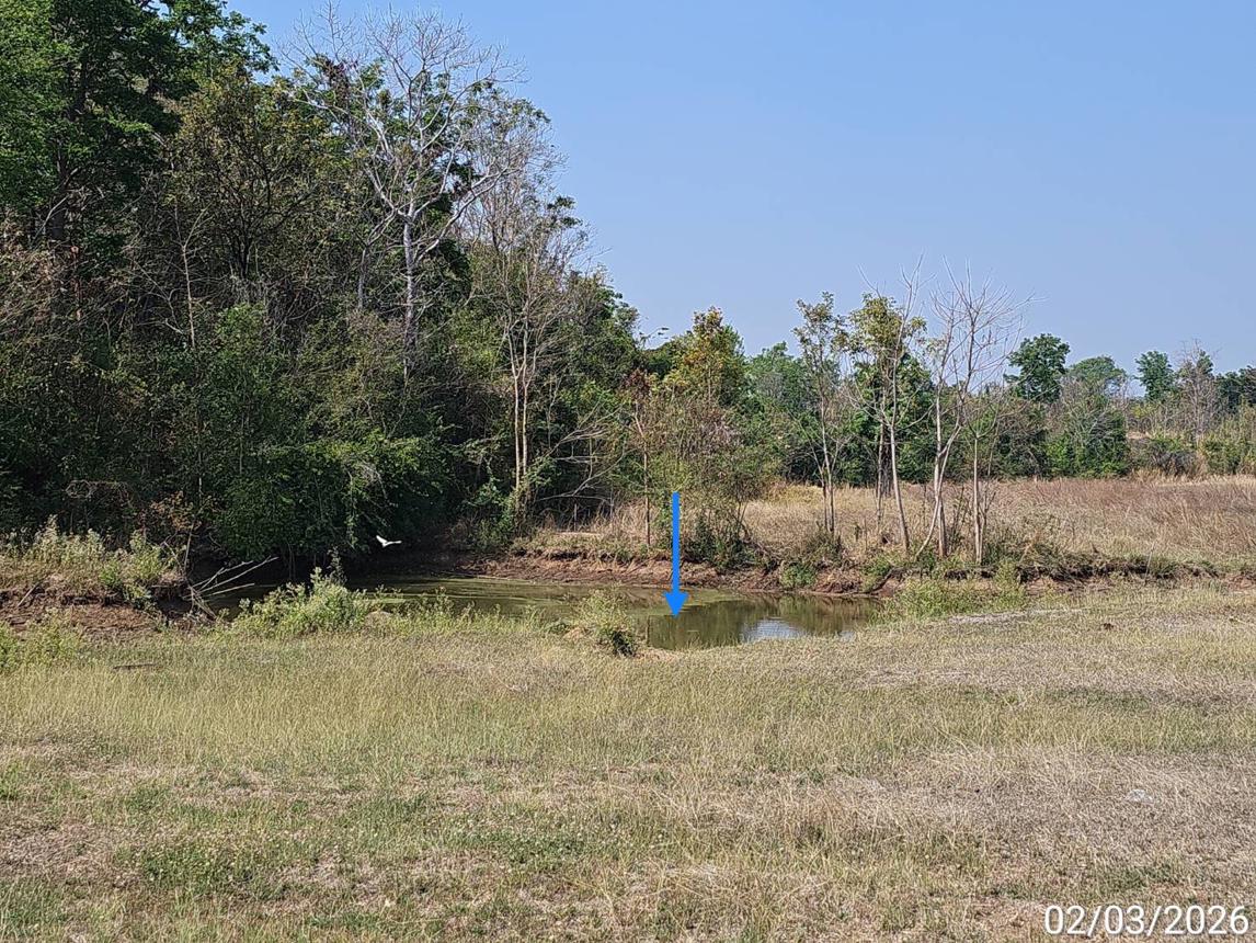 รูป โกดัง 7437 ตร.วา ดงเจริญ พิจิตร 11.6M - รูปที่ 45/50