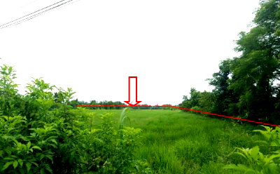 LAND 8093 Sq.w. Sam Ngam Phichit Price on request