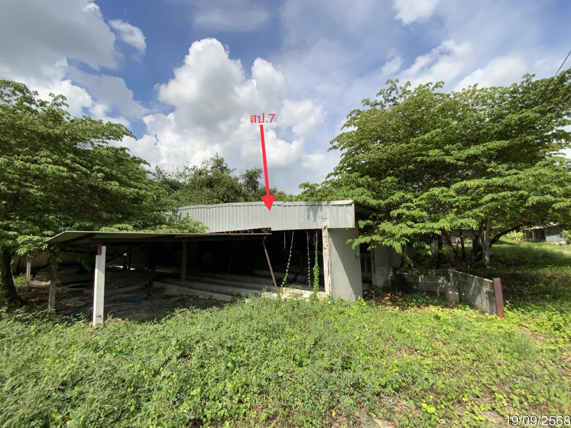 picture LAND 3345 Sq.w. Tha Wung Lopburi for 9.3M - 40/50