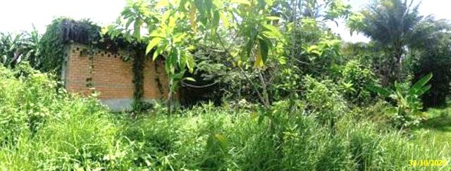 picture HOME 540 Sq.w. Yaha Yala for 1.3M - 7/10