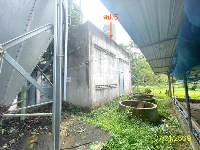 รูป ฟาร์ม 1603 ตร.วา เมืองพัทลุง พัทลุง 7M - รูปที่ 7/24