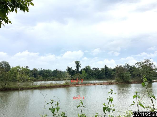 รูป ฟาร์ม 14688 ตร.วา เมืองหนองคาย หนองคาย 3.8M - รูปที่ 8/24