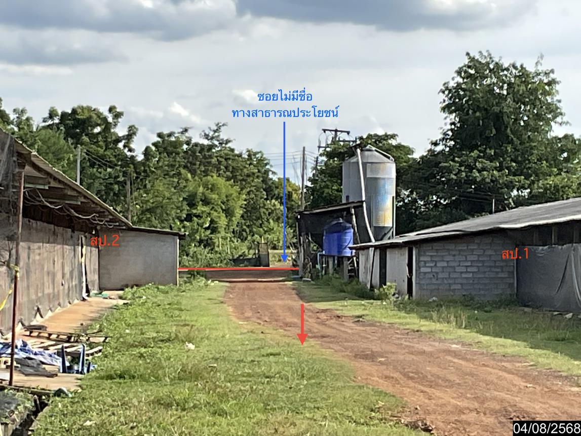 รูป ฟาร์ม 5495 ตร.วา หนองกี่ บุรีรัมย์ 16.6M - รูปที่ 17/24