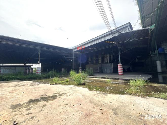 picture FACTORY 98916 Sq.w. Han Kha Chainat for 376.9M - 22/64