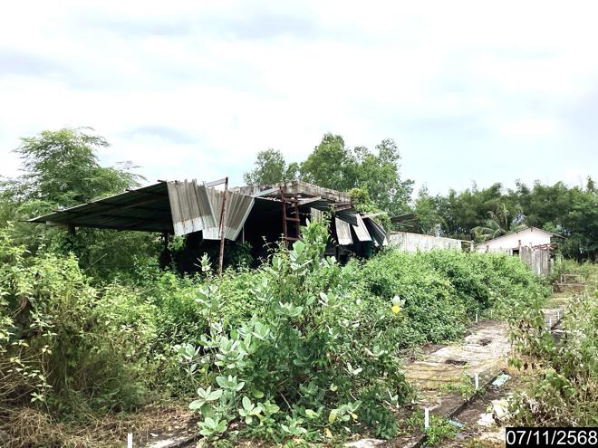 รูป ฟาร์ม 14688 ตร.วา เมืองหนองคาย หนองคาย 3.8M - รูปที่ 4/24