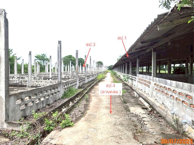 รูป ฟาร์ม 3846 ตร.วา กระสัง บุรีรัมย์ 4.7M - รูปที่ 13/34