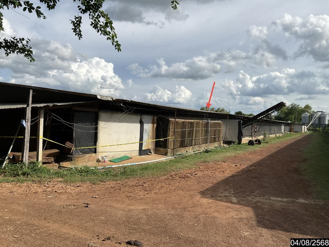 รูป ฟาร์ม 5495 ตร.วา หนองกี่ บุรีรัมย์ 16.6M - รูปที่ 6/24