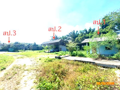 บ้านเดี่ยว 1000 ตร.วา พระแสง สุราษฎร์ธานี 1.8M