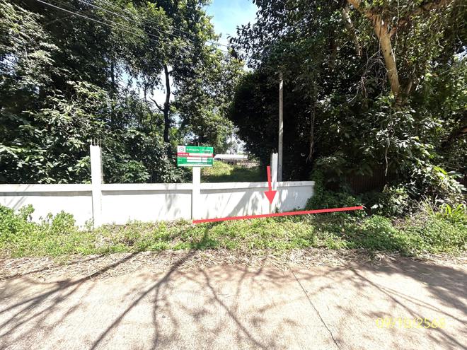 รูป บ้านเดี่ยว 1200.8 ตร.วา เมืองยโสธร ยโสธร 3.5M - รูปที่ 18/40