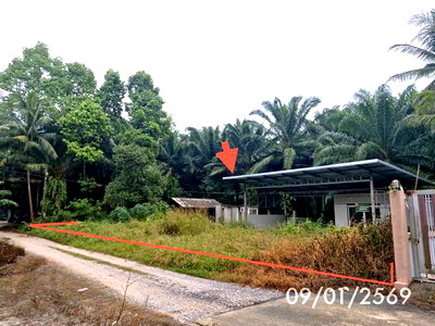 FACTORY 174 Sq.w. Khanom Nakhon Sri Thammarat for 737,000