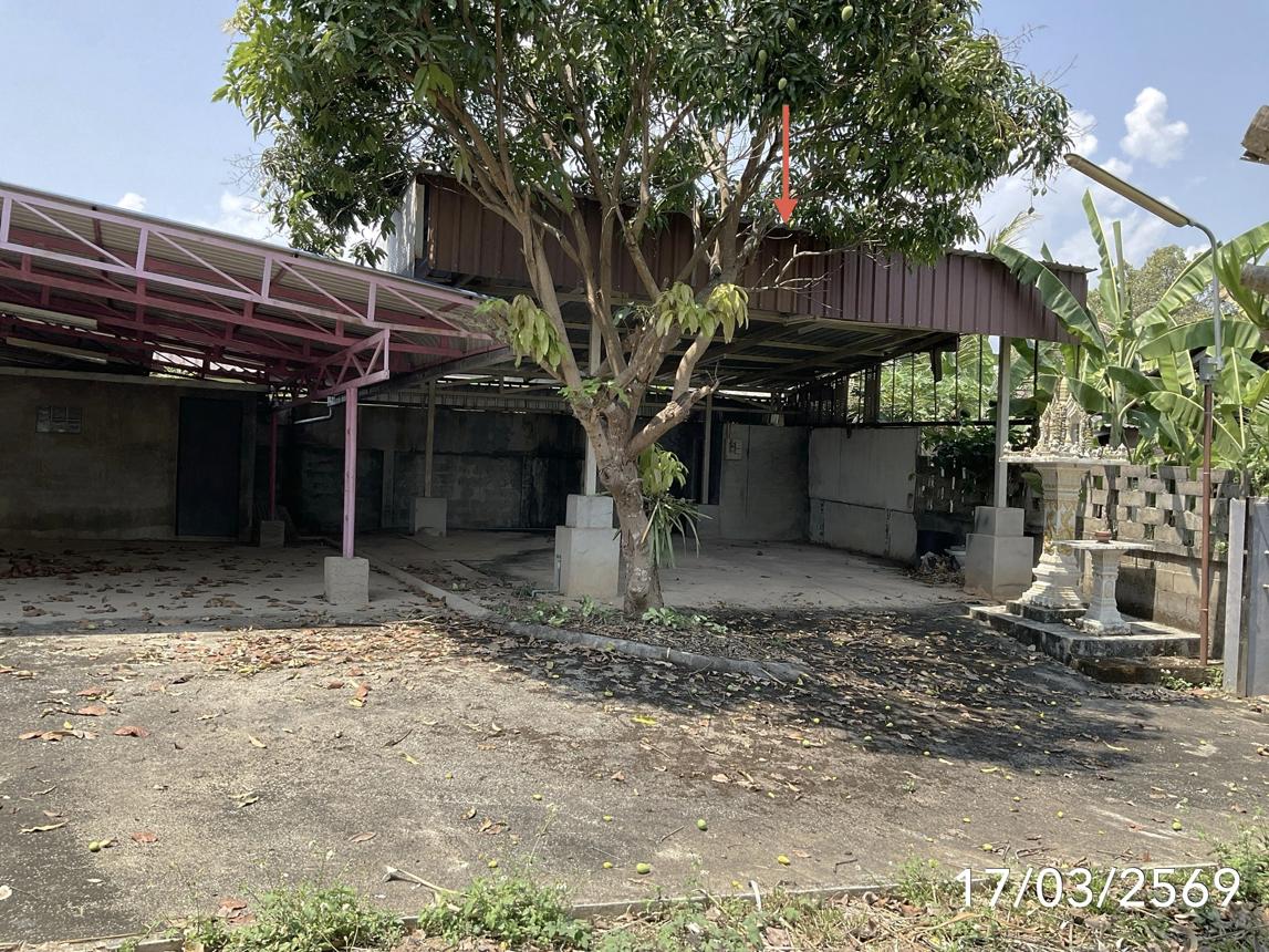 รูป บ้านเดี่ยว 196 ตร.วา เมืองเชียงราย เชียงราย 3.3M - รูปที่ 34/42