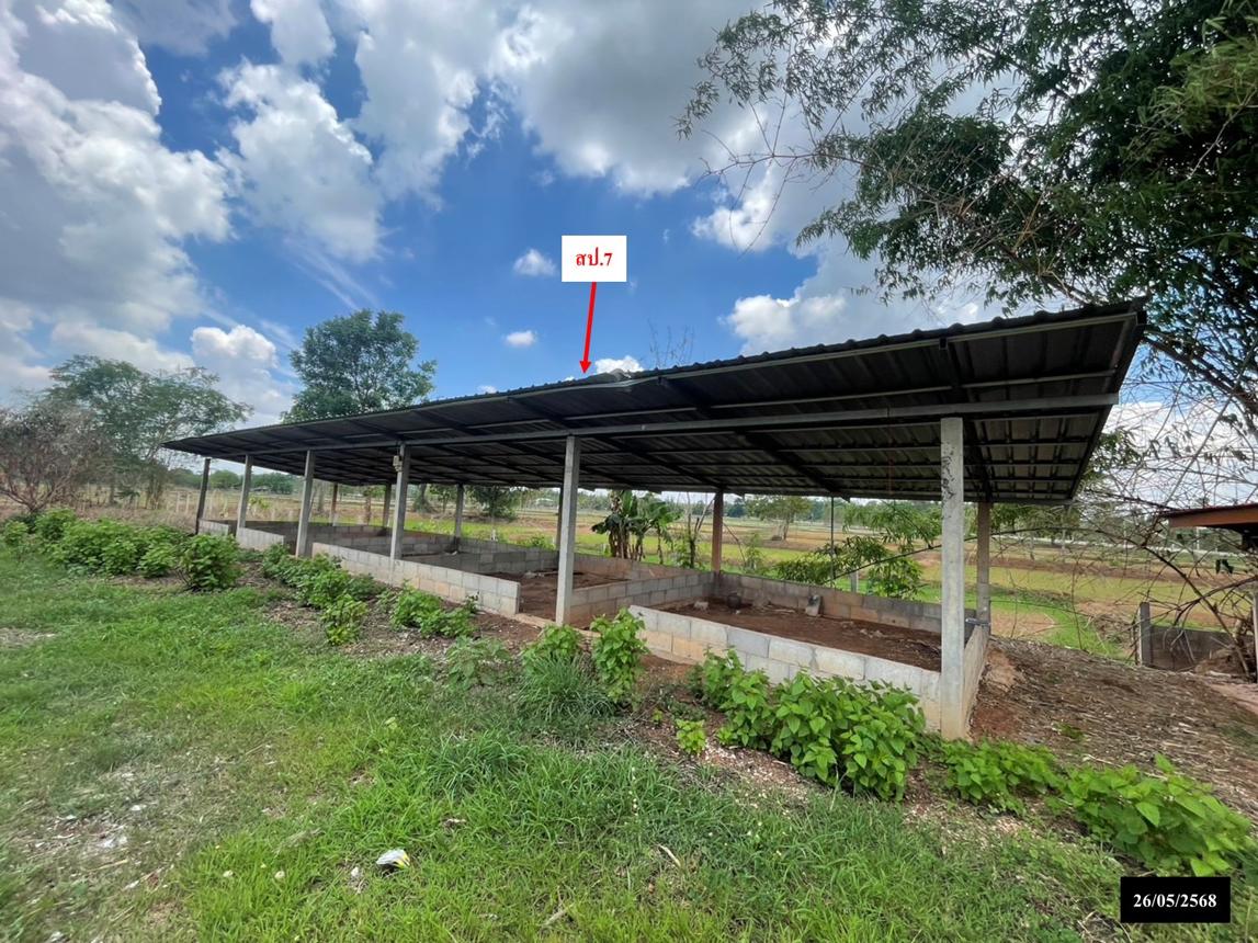 รูป บ้านเดี่ยว 800 ตร.วา สว่างแดนดิน สกลนคร 2.7M - รูปที่ 35/42