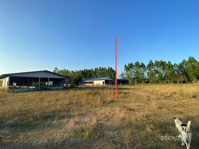 รูป ฟาร์ม 6418.2 ตร.วา พนัสนิคม ชลบุรี 9.5M - รูปที่ 15/34