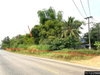 listing thumbnail image 21