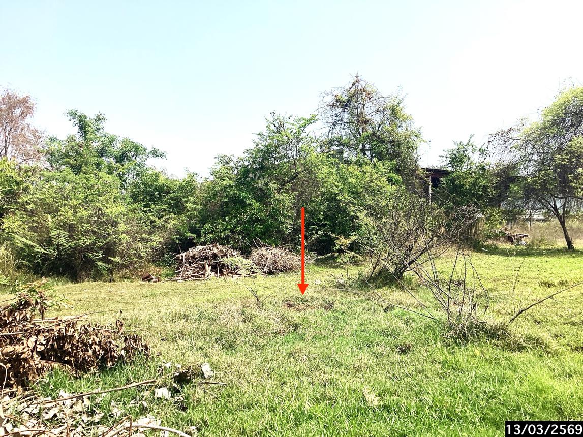 รูป ที่ดินว่างเปล่า 2817.4 ตร.วา เมืองสกลนคร สกลนคร 35.2M - รูปที่ 13/20