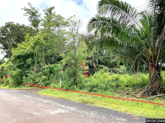 รูป บ้านเดี่ยว 986 ตร.วา เซกา บึงกาฬ 4.1M - รูปที่ 14/34