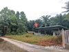 listing thumbnail image 16