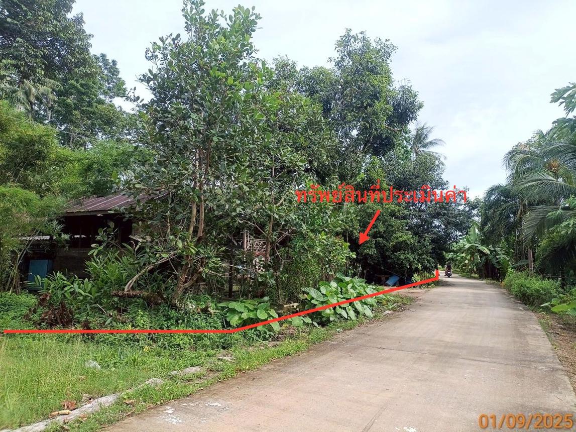 picture HOME 1218 Sq.w. Ko Lanta Krabi for 1.5M - 14/18