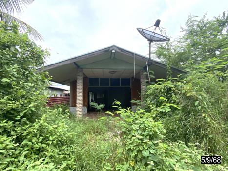 รูป บ้านเดี่ยว 1702 ตร.วา ชุมแพ ขอนแก่น 9M - รูปที่ 37/40