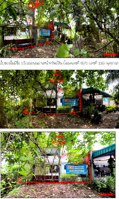 บ้านเดี่ยว 62 ตร.วา อำเภอทับปุด พังงา 578,000