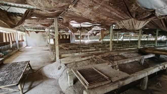 รูป เพิงอเนกประสงค์ 4000 ตร.วา ศรีนครินทร์ พัทลุง 5.1M - รูปที่ 12/40