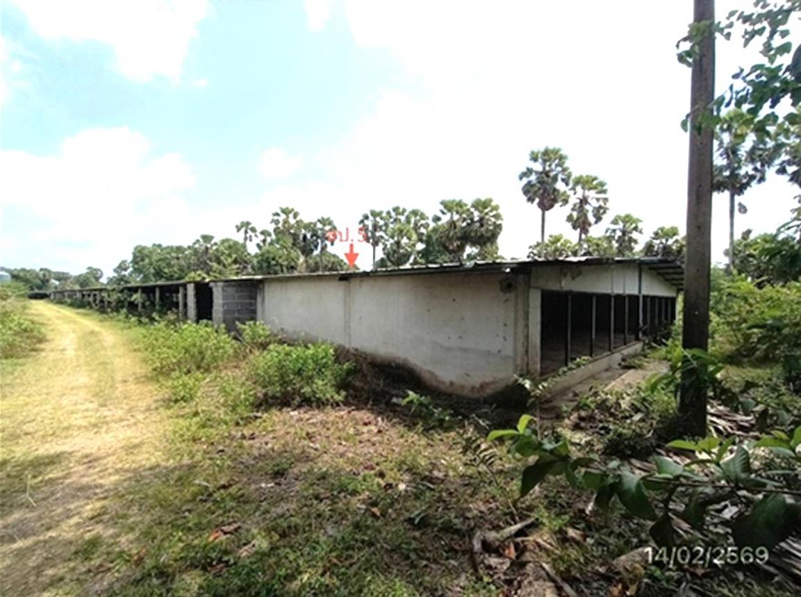 รูป ฟาร์ม 3464 ตร.วา สทิงพระ สงขลา 9.7M - รูปที่ 28/48