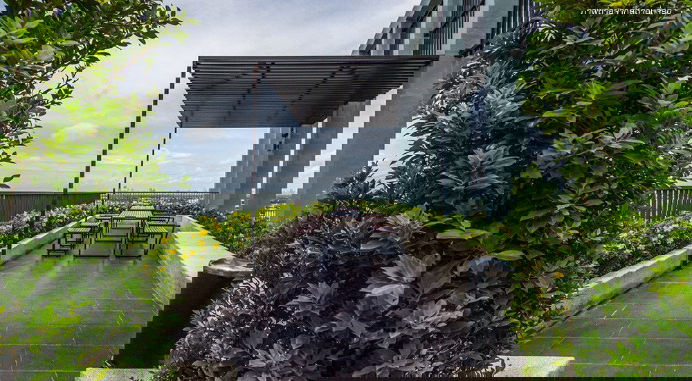 รูป ให้เช่า ไนท์บริดจ์ ชาร์มมิ่ง อาร์ตี้ วินเทจ (แบริ่ง สุขุมวิท 107) / Knightsbridge Charming Arty Vintage (Bearing Sukhumvit 107) ฿8,500 / เดือน - รูปที่ 18/22