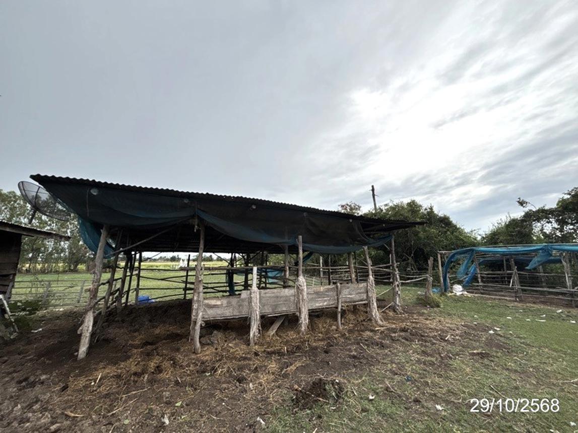 รูป บ้านเดี่ยว 1140 ตร.วา ชุมพลบุรี สุรินทร์ 1.8M - รูปที่ 28/34