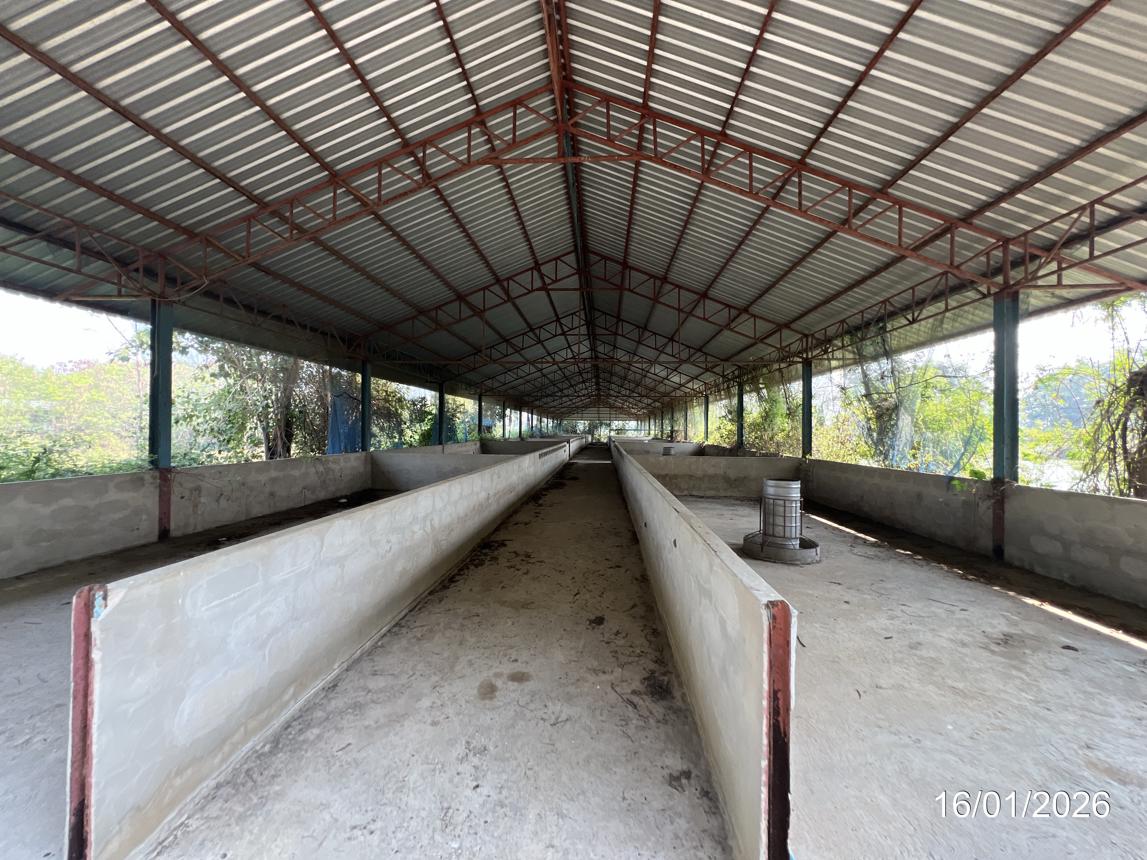 picture LAND 9600 Sq.w. Kao Lieo Nakhon Sawan for 12.6M - 25/46