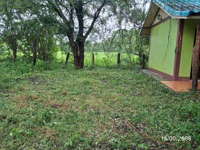 picture HOME 2910 Sq.w. Phana Amnat Charoen for 1.8M - 5/26