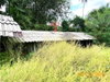 listing thumbnail image 30