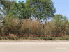 listing thumbnail image 21