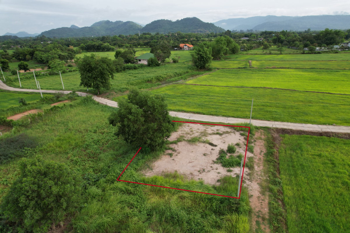 รูป ขายที่ดิน 100 ตารางวา ต.เขาพระ ถมเต็มพื้นที่ มีโฉนด ติดถนนคอนกรีต วิวเขาชัด  - รูปที่ 4/19