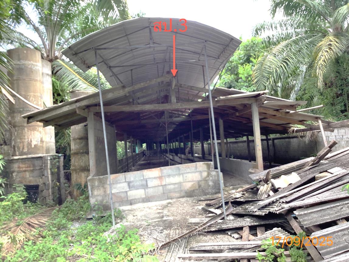 รูป ฟาร์ม 2259.1 ตร.วา เฉลิมพระเกียรติ นครศรีธรรมราช 5.6M - รูปที่ 22/36