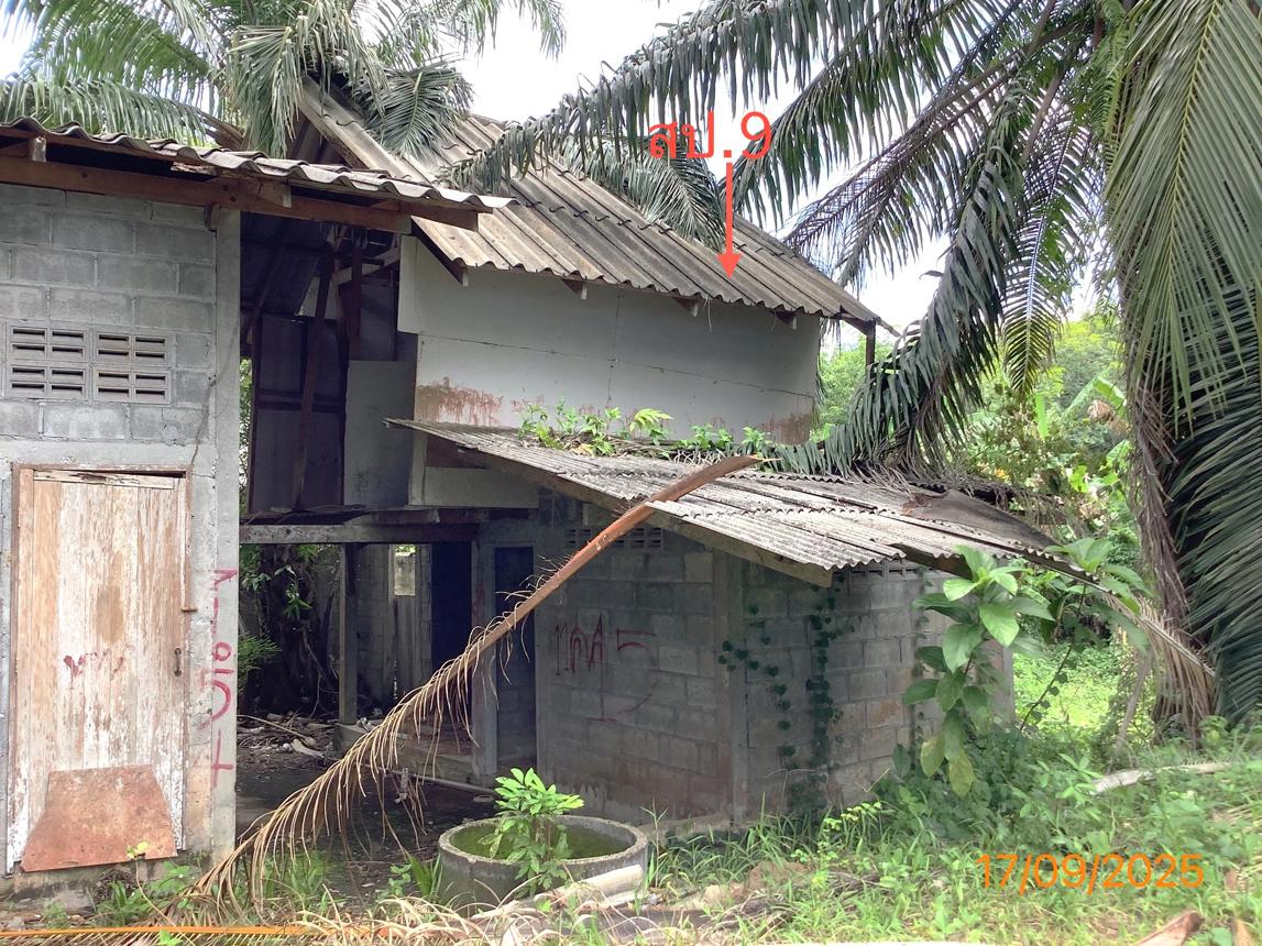 รูป ฟาร์ม 2259.1 ตร.วา เฉลิมพระเกียรติ นครศรีธรรมราช 5.6M - รูปที่ 32/36