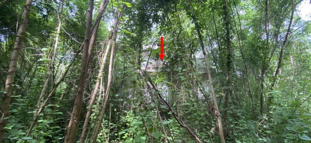 รูป ที่ดินพร้อมสิ่งปลูกสร้าง 2435 ตร.วา อำเภอพิชัย อุตรดิตถ์ 1.5M - รูปที่ 2/7