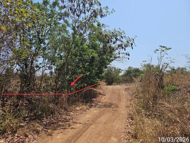 รูป ที่ดินว่างเปล่า 1811 ตร.วา ชนแดน เพชรบูรณ์ 1.4M - รูปที่ 3/16