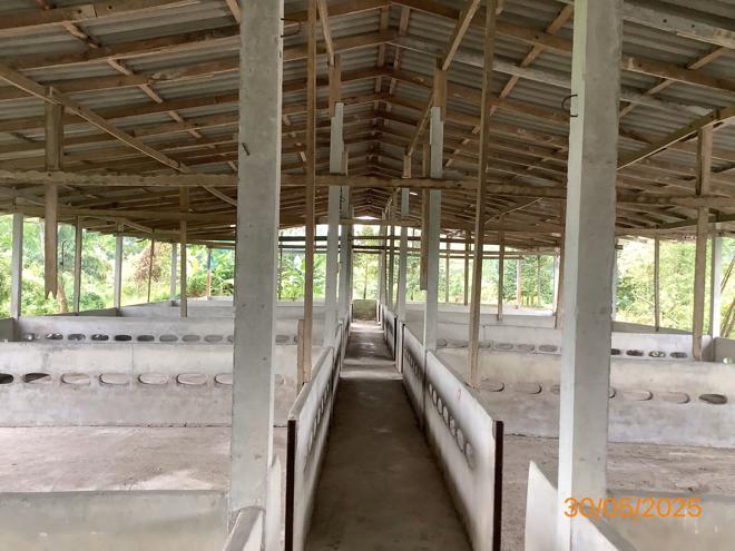 picture LAND 3649 Sq.w. Chalermphrakiet Nakhon Sri Thammarat for 9.9M - 14/38