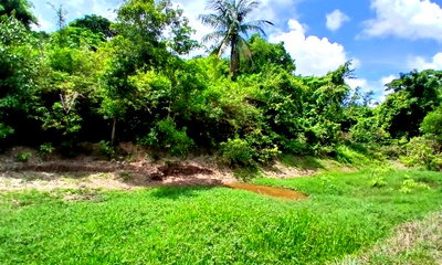 ที่ดิน มุกดาหาร : ที่ดินพร้อมสิ่งปลูกสร้าง 1387 ตร.วา อำเภอคำชะอี มุกดาหาร 2.9M